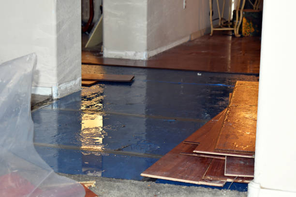 Professional Burst Pipe Cleanup technician working in Mineola, TX