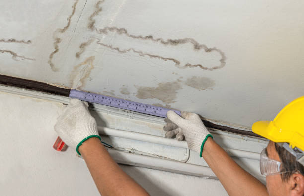 Reliable Burst Pipe Cleanup contractor in Mineola, TX by Water Damage Irwin